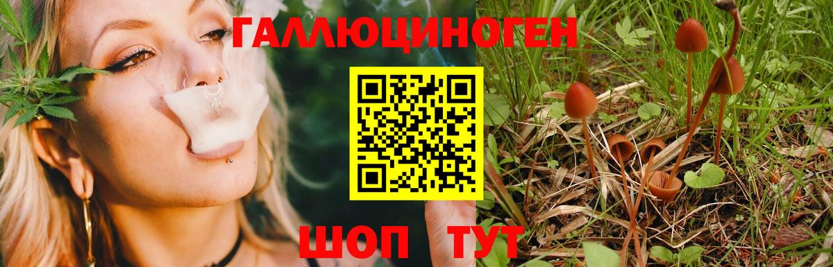 Псилоцибиновые грибы Magic Shrooms  Псилоцибиновые грибы Psilocybe  Вход с VPN  Петрозаводск 